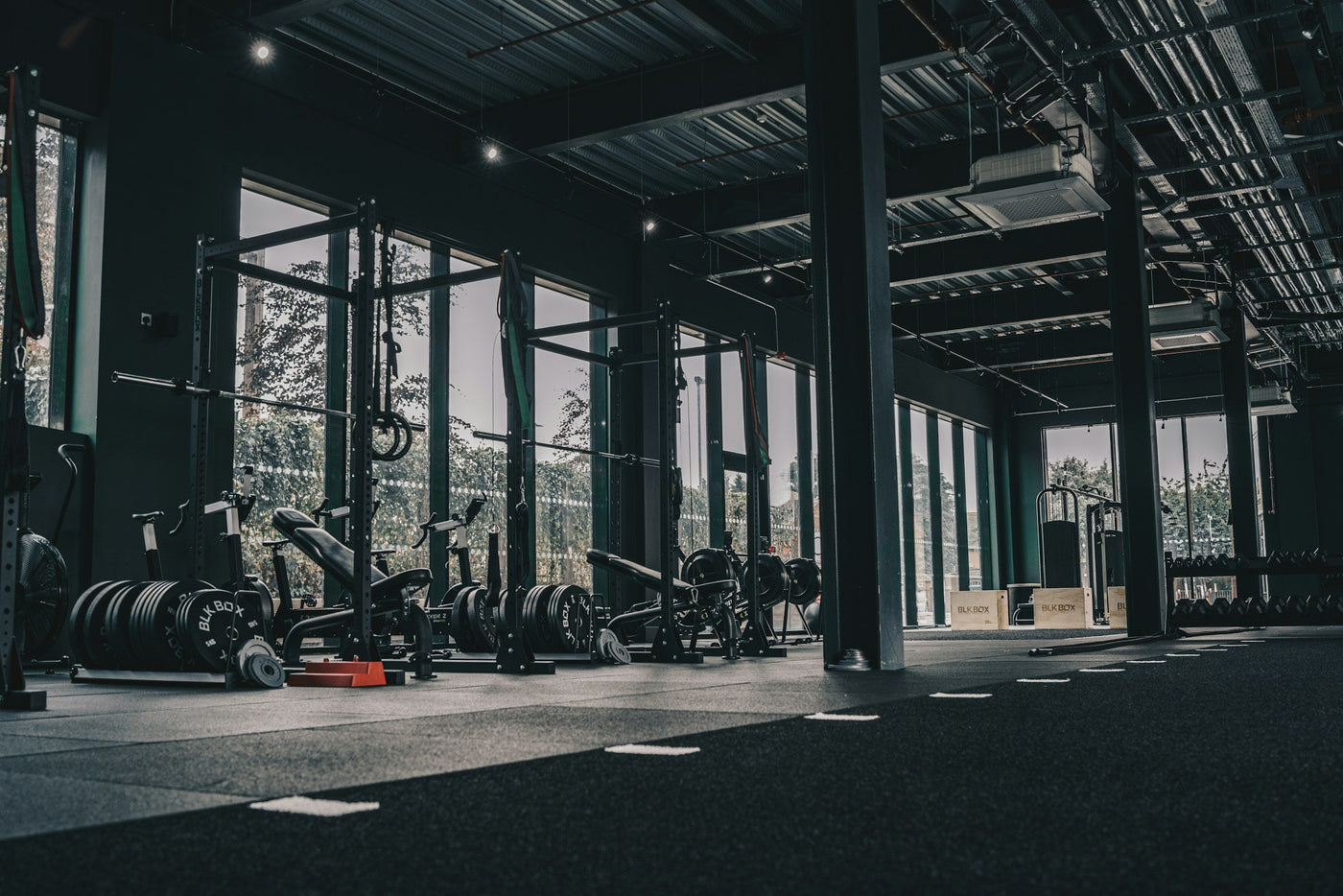 The Missing Layer in Your Supplement Stack