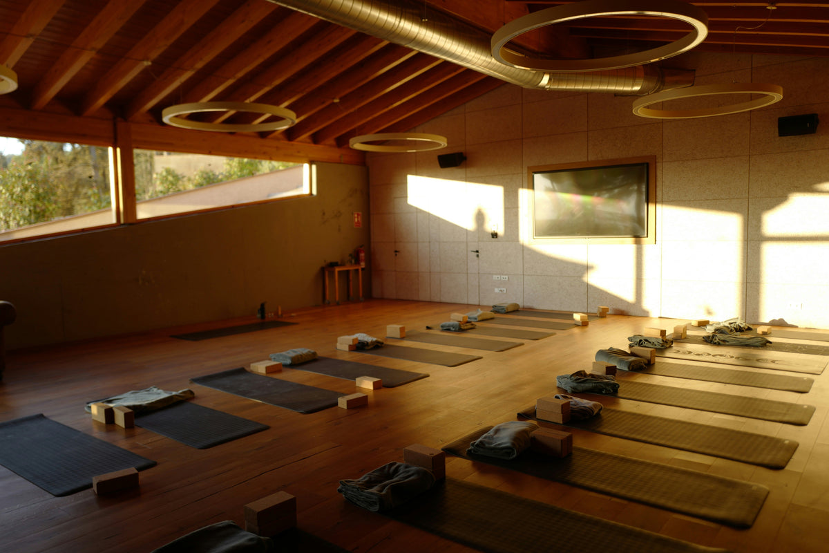 The Mindful Mover's Guide to Tea